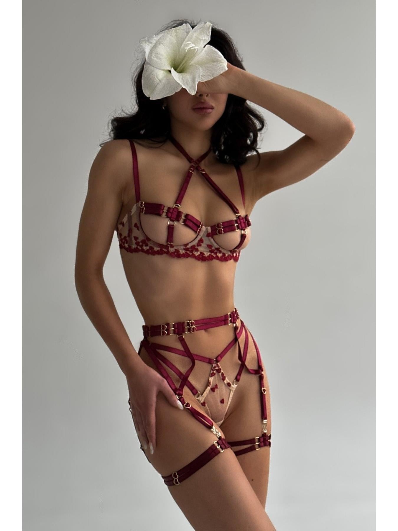 Celeste's Lingerie set