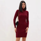Women’s Sweater Dress – Ribbed Knit – Slim Fit – Turtleneck – Long Sleeve Mini by Lumina Vancouver